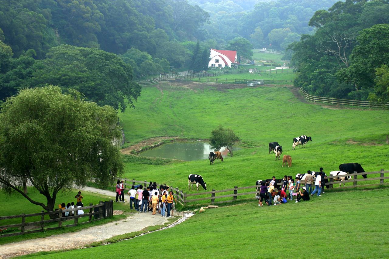 Flying Cow Ranch Hotell Tongxiao Eksteriør bilde